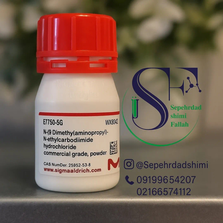 N(3دیمتیلآمینوپروپیل)N′اتیلکربودیایمید هیدروکلراید ۵ گرم