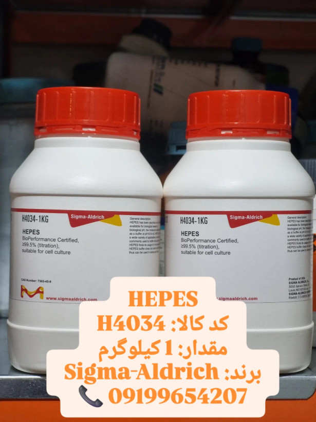 بافر HEPES خلوص بالا ۱ کیلوگرم