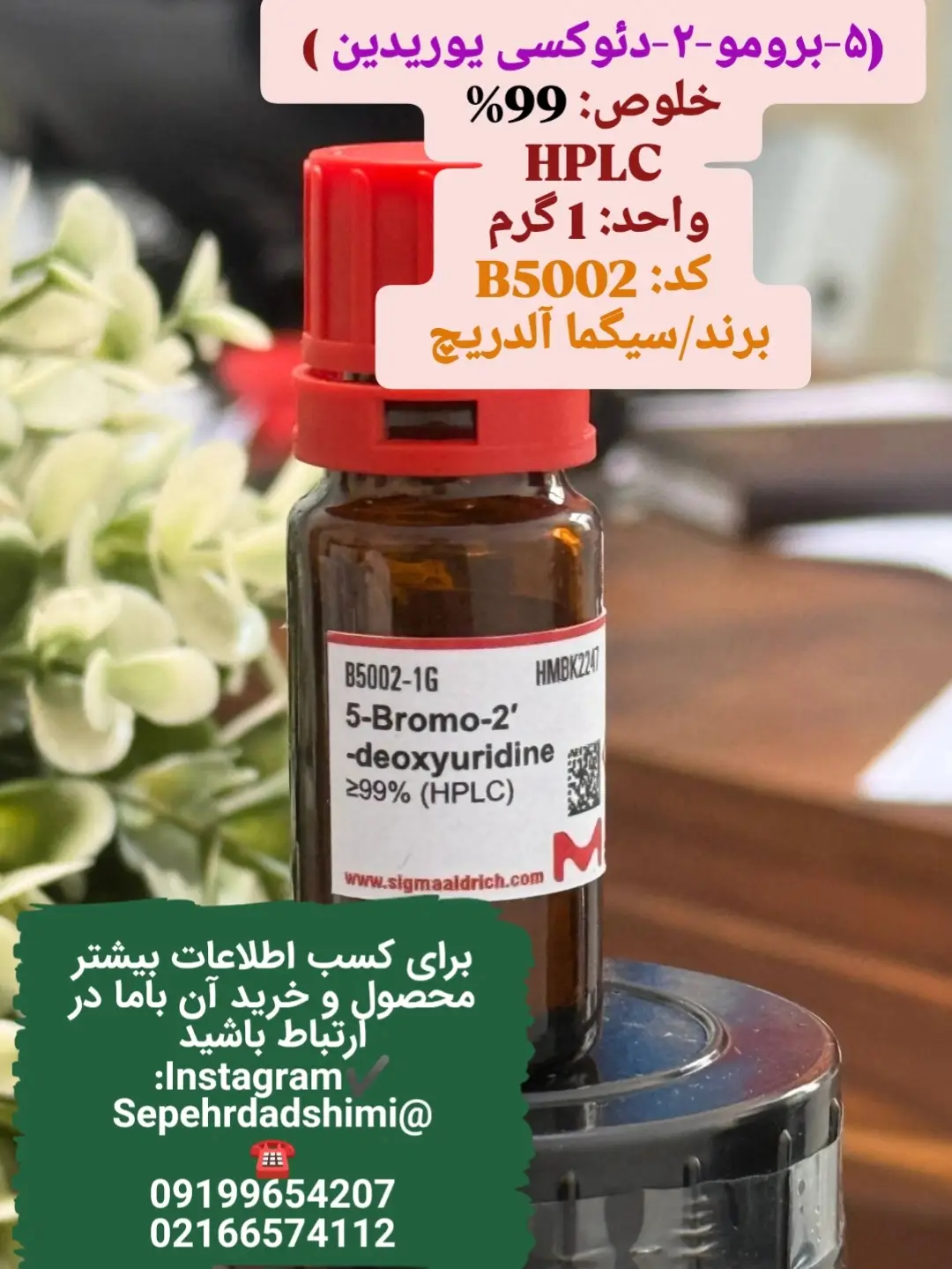 ۵برومو۲′دئوکسی‌یوریدین (BrdU)