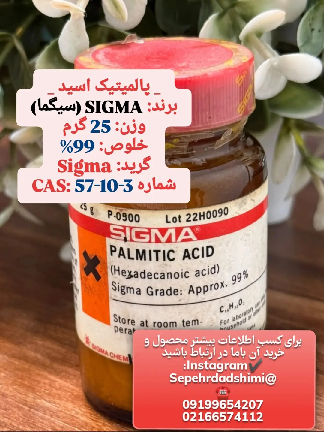 پالمیتیک اسید SIGMA ۲۵ گرمی