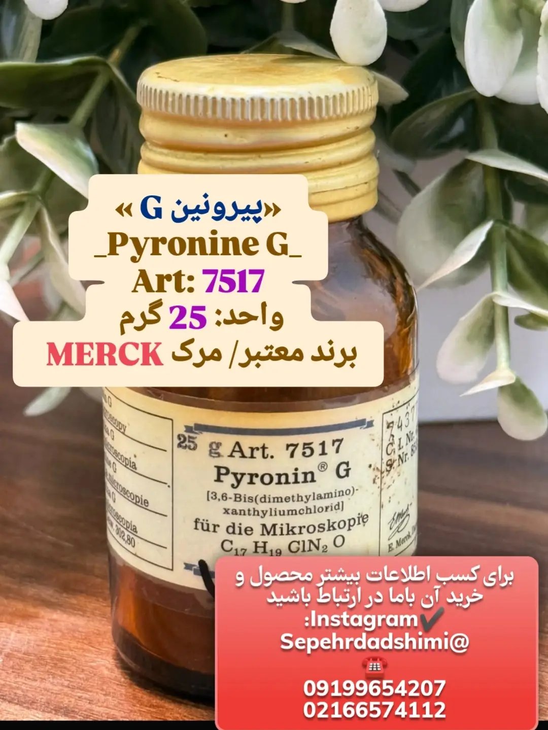 رنگ پیرونین G Merck ۲۵ گرمی